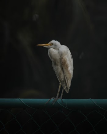 Unsplash ID XPpm_WL-DnY
