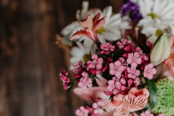 Unsplash ID xR72aLTtBCE