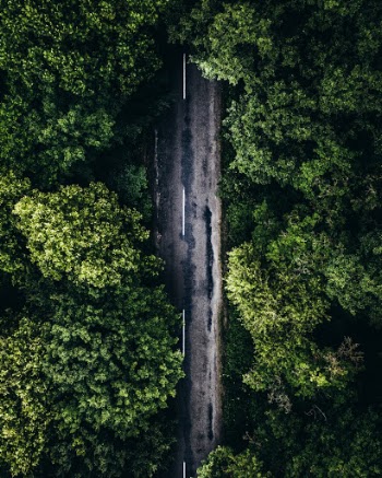 Unsplash ID xrdJH563g1o