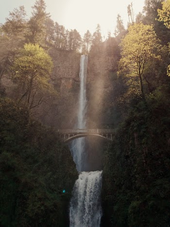 Unsplash ID xRUA391rrhU