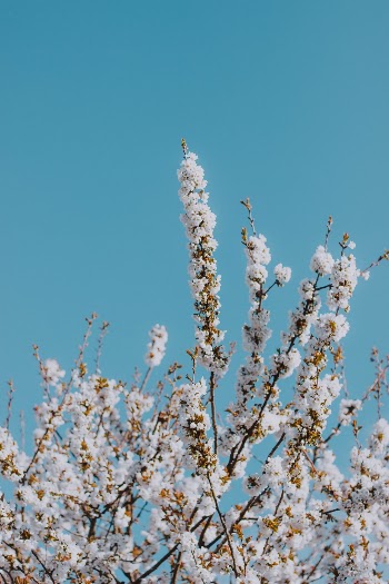 Unsplash ID xRXc9FSyXzo
