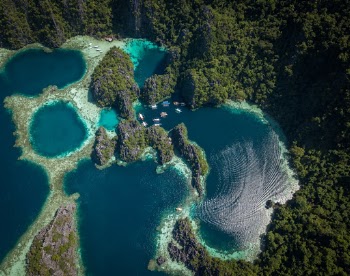 Unsplash ID xSaqzCzw1uA