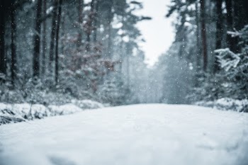 Unsplash ID Xt7uaQg_Za8