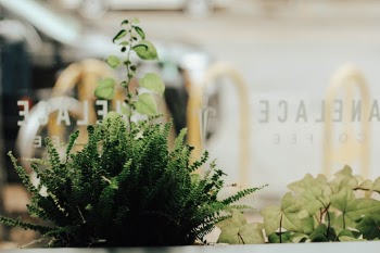 Unsplash ID xTMfaC2LynY