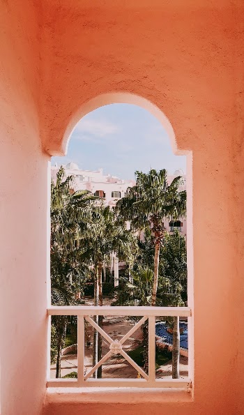 Unsplash ID xTvEA9Cc61I