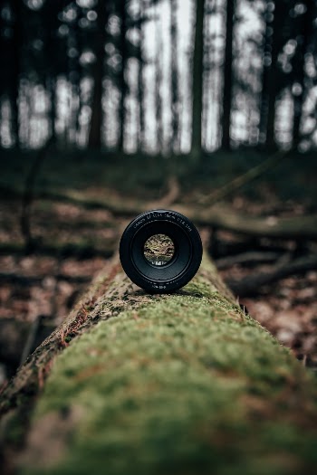 Unsplash ID XUi1ZrlRXNw