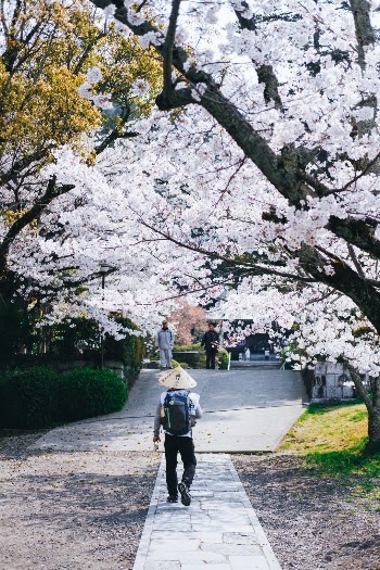 Unsplash ID XUqGEW0w8es