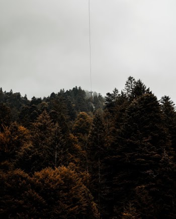 Unsplash ID xuyNkNK69eg