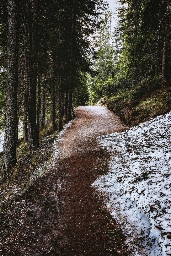 Unsplash ID XUzBDdM5TRo