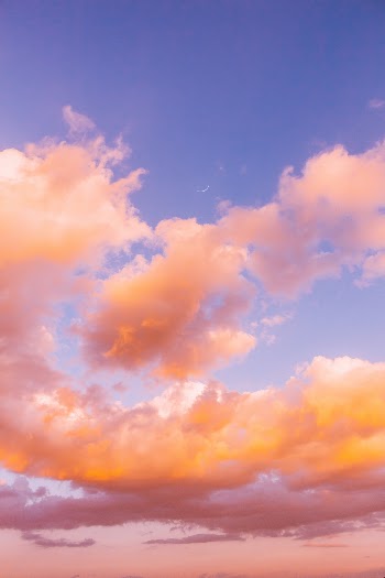 Unsplash ID xW42e724p00
