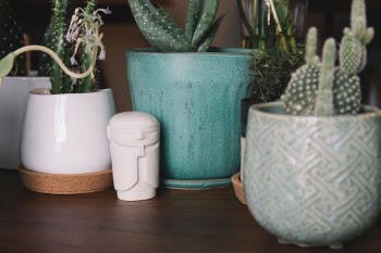 Unsplash ID xW8jfKAv87U