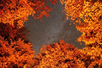 Unsplash ID xWb4OBh8Bos
