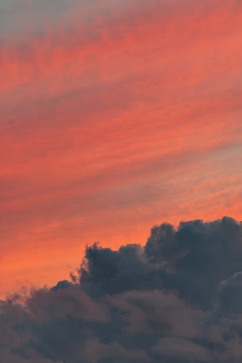 Unsplash ID xwgHgViciZI