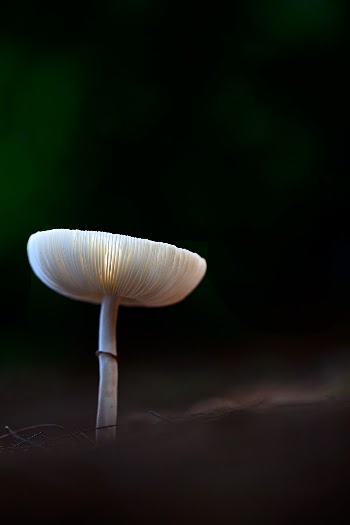 Unsplash ID xwiO6w6XEiM