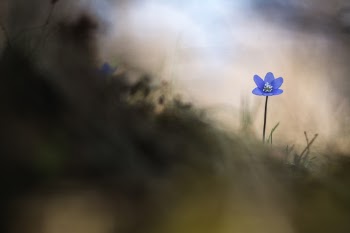 Unsplash ID XwyiQiAyeNE