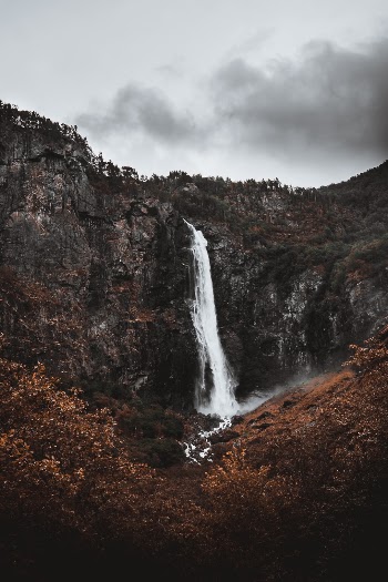 Unsplash ID XxcJfL6xiVc