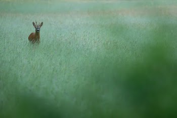 Unsplash ID XXX5HKsq4e0