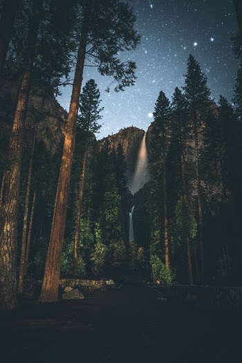 Unsplash ID xXy8JPOzed4