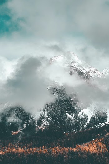 Unsplash ID XXzDRs4TR-8