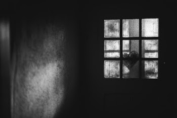 Unsplash ID -xzidNxy9FQ