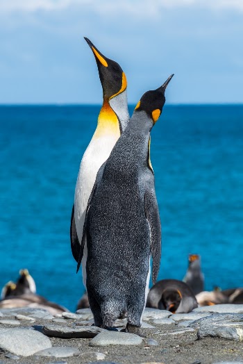 Unsplash ID Y-nyDv3TWm0