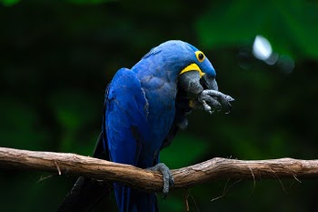 Unsplash ID Y_rRD2aDTwQ
