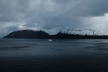 Unsplash ID Y_ugqYQZTLE