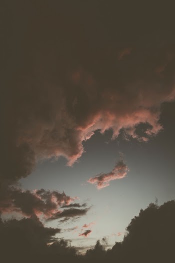 Unsplash ID Y1N6kEvFZFo