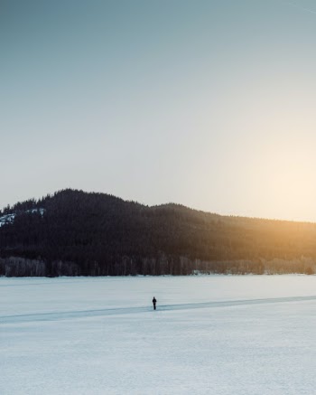 Unsplash ID Y5ZEfGtx6vU