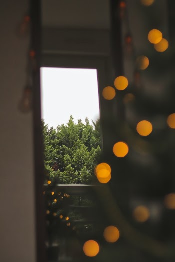 Unsplash ID Y7RM2HfD6pI