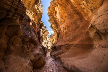 Unsplash ID Y8PXHpukDhI