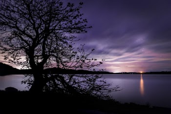 Unsplash ID y8XiK5EBNsg