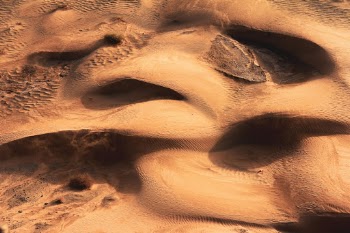 Unsplash ID ybdIakmMPpc