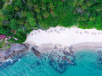 Unsplash ID ybz1owf884E