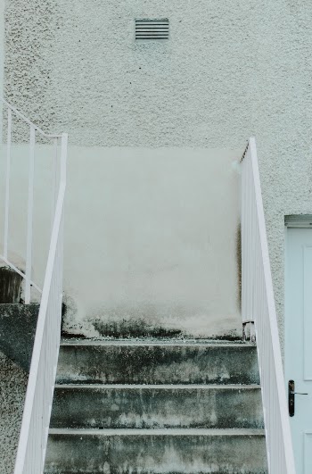 Unsplash ID yD7EWp-G_Ms