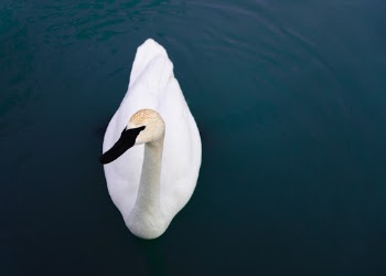 Unsplash ID Yd9wuqsByck