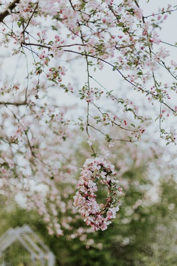 Unsplash ID ydkeMTvbNEA