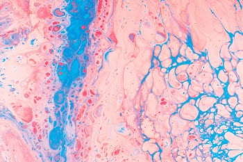 Unsplash ID YDoj_wH2IwI