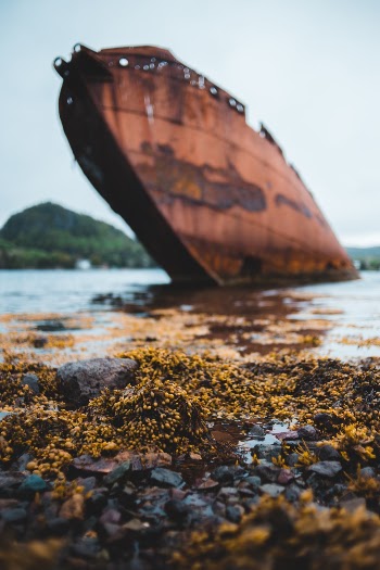 Unsplash ID YeqsKLshrR0