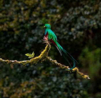 Unsplash ID yeqt115Xkeg