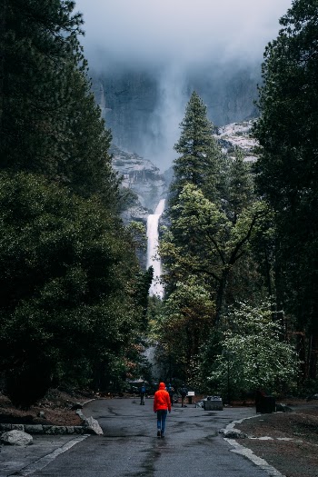 Unsplash ID YEwxD1D9yc4