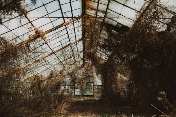 Unsplash ID YhKygP6Wa_U