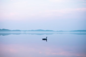 Unsplash ID YhM7-myr4qM
