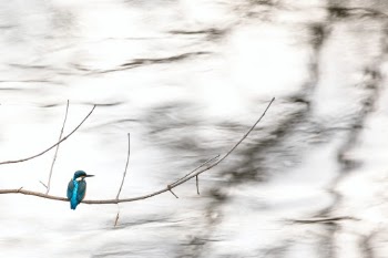 Unsplash ID yiwB58St4bE