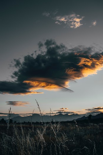 Unsplash ID Yjs0JIdu3dE