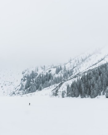 Unsplash ID _yJtUgtvpHg