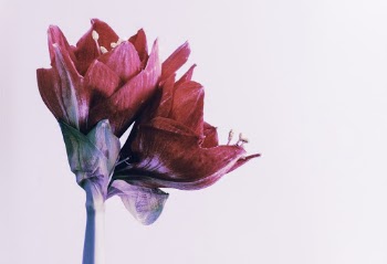 Unsplash ID yKDsfZYpH3w
