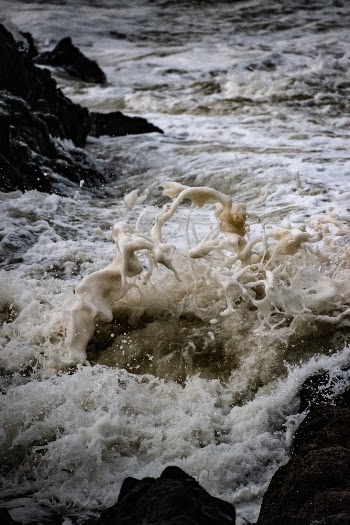 Unsplash ID YKgj-Iwolkw