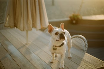 Unsplash ID ykk25W6Tiyw