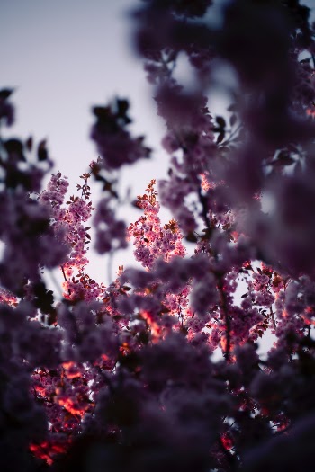 Unsplash ID yKnwJ_oy35M